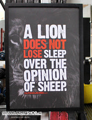 A2 Poster - "A Lion Does Not Lose Sleep Over The Opinion Of Sheep" - CutAndJacked Shop