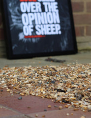 A2 Poster - "A Lion Does Not Lose Sleep Over The Opinion Of Sheep" - CutAndJacked Shop